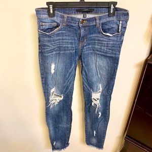 Harper Distressed Denim Jeans